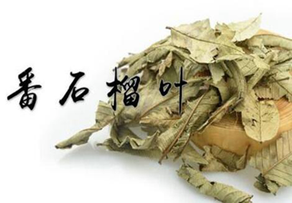 番石榴叶煮水的害处 属于温性可能出现内热情况258 / 作者:UFO爱好者 / 帖子ID:76044
