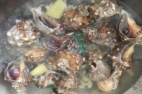 海螺好吃吗 吃海螺时候应该注意哪些问题519 / 作者:UFO爱好者 / 帖子ID:76146