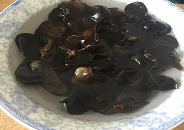 泡好的黑木耳隔夜可吃吗 黑木耳泡时间长了有毒吗193 / 作者:UFO爱好者 / 帖子ID:75918