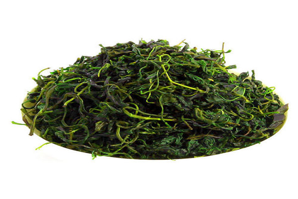 大量喝发酵小叶苦丁茶对身体好吗 喝太多反而不好77 / 作者:UFO爱好者 / 帖子ID:89485
