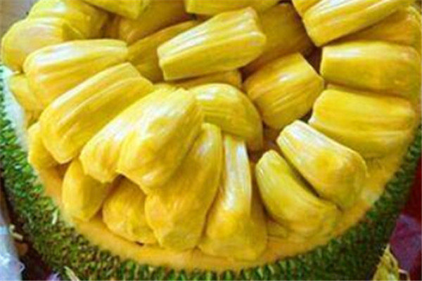 菠萝蜜过敏什么症状 可能出现呕吐腹泻皮肤瘙痒情况127 / 作者:UFO爱好者 / 帖子ID:89381