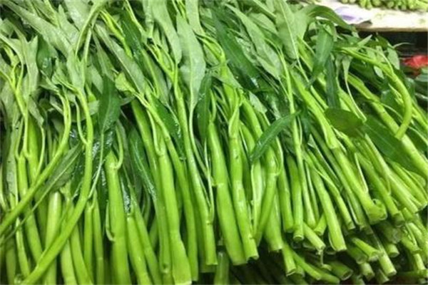 空心菜什么人不能吃 孕妇可以吃空心菜吗197 / 作者:UFO爱好者 / 帖子ID:89027