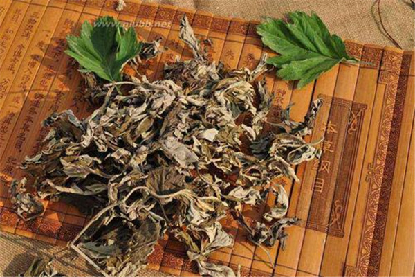 女人用艾叶泡脚的好处 用艾叶泡脚有什么要注意的761 / 作者:UFO爱好者 / 帖子ID:89108