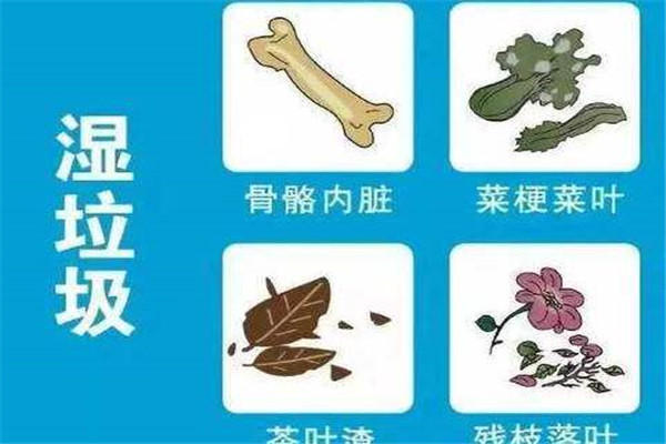 湿垃圾用什么装 先倒到袋子里再进行破袋处理920 / 作者:UFO爱好者 / 帖子ID:89028