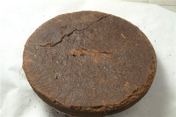 茶籽饼杀鱼要泡几天 茶籽饼清塘需要解毒吗87 / 作者:UFO爱好者 / 帖子ID:88781