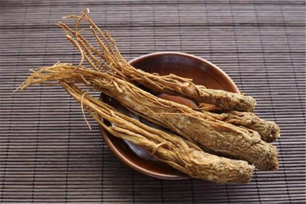 当归与什么食物相克 女生吃当归的禁忌有哪些149 / 作者:UFO爱好者 / 帖子ID:88746