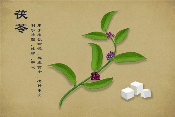 茯苓不能和什么一起吃 不能和茯苓一起吃的食物有哪些891 / 作者:UFO爱好者 / 帖子ID:88732