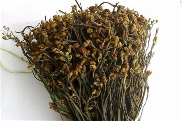 干蕨菜禁忌有哪些 食用干蕨菜要注意什么657 / 作者:UFO爱好者 / 帖子ID:88733