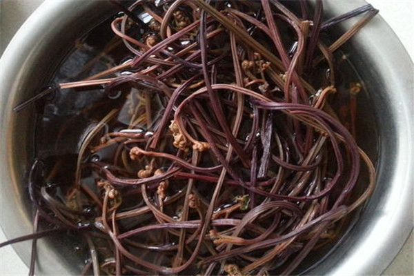 干蕨菜禁忌有哪些 食用干蕨菜要注意什么254 / 作者:UFO爱好者 / 帖子ID:88733