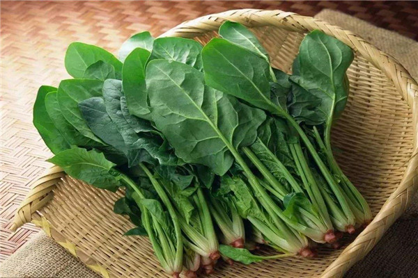 皮蛋菠菜相克吗 和菠菜相克的食物有哪些892 / 作者:UFO爱好者 / 帖子ID:88634