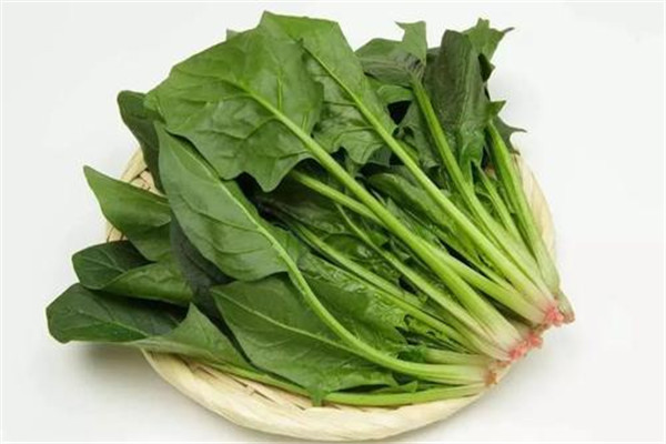 皮蛋菠菜相克吗 和菠菜相克的食物有哪些644 / 作者:UFO爱好者 / 帖子ID:88634