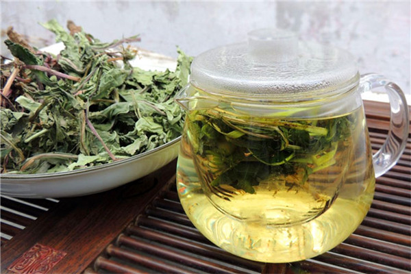 蒲公英茶和蒲公英根茶的区别 蒲公英根茶口感更好240 / 作者:UFO爱好者 / 帖子ID:88735