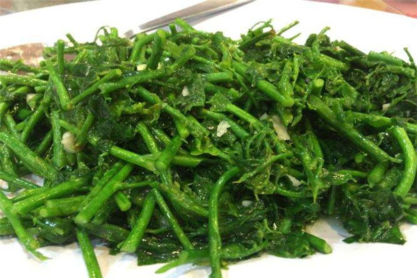 树菜有毒吗 树菜的功效有哪些(维生素含量丰富)152 / 作者:UFO爱好者 / 帖子ID:88521