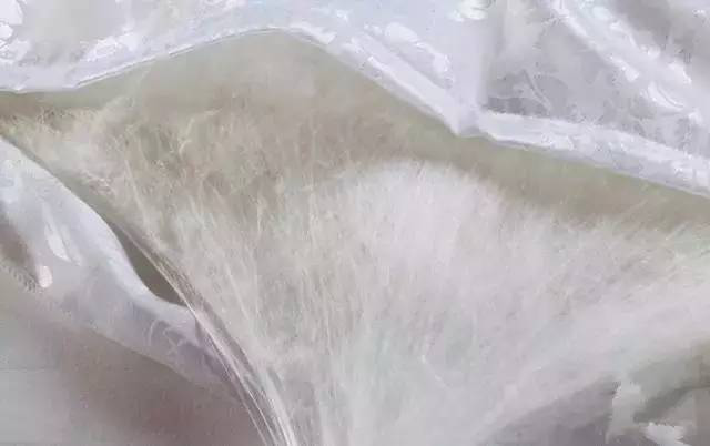蚕丝被可以水洗吗 不可以水洗（水洗会变形）839 / 作者:UFO爱好者 / 帖子ID:88460