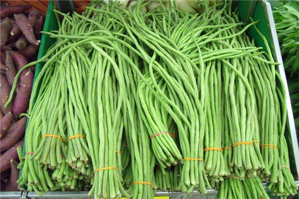 豆角的表面是什么样的 经常吃豆角对身体的好处205 / 作者:UFO爱好者 / 帖子ID:88467