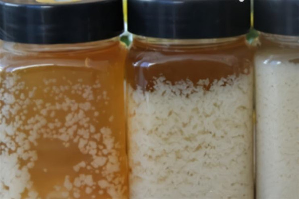 蜂蜜很稀是不是假的 真蜂蜜和假蜂蜜的区别831 / 作者:UFO爱好者 / 帖子ID:88403