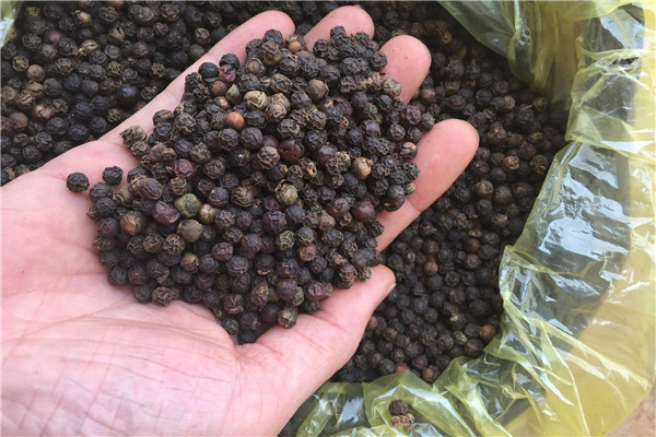 黑胡椒和咖喱可以一起吃吗 并不相克可以一起做菜846 / 作者:UFO爱好者 / 帖子ID:88358