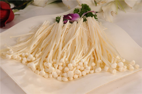 金针菇不能和牛肉一起吃吗 可以一起吃（有互补功效）333 / 作者:UFO爱好者 / 帖子ID:88413