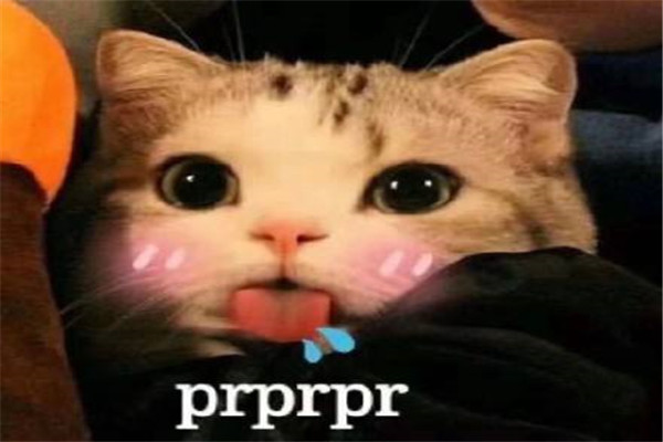 prprprp什么意思 prprprp在网络上相当常用（网络热词）382 / 作者:UFO爱好者 / 帖子ID:88359
