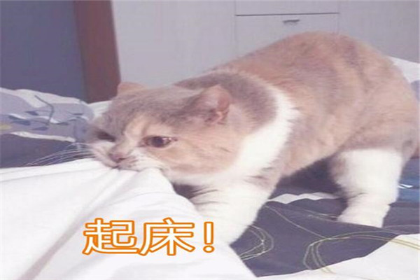 prprprp什么意思 prprprp在网络上相当常用（网络热词）711 / 作者:UFO爱好者 / 帖子ID:88359
