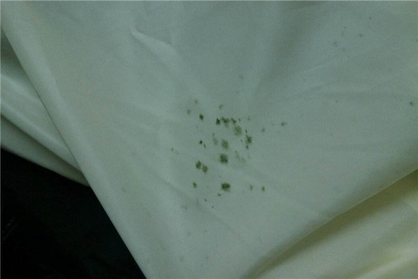 床单为什么会发霉 去除床单霉斑的方法328 / 作者:UFO爱好者 / 帖子ID:88256