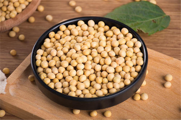 豆乳是什么做的 经常喝豆乳有哪些好处（营养价值高）129 / 作者:UFO爱好者 / 帖子ID:88304