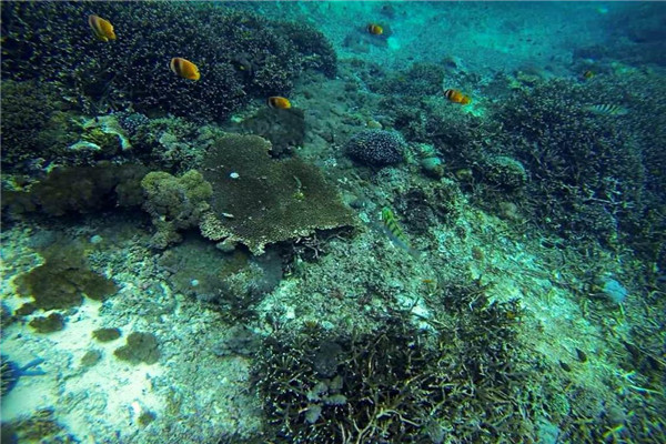 海水中含量最多的元素 海水中氧含量的来源456 / 作者:UFO爱好者 / 帖子ID:87722