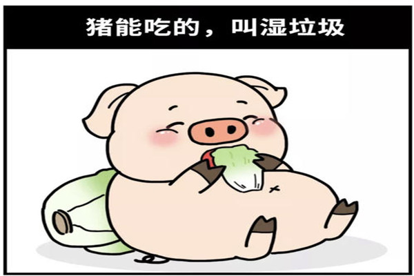 猪能吃的垃圾分类 如何用猪区分垃圾（能吃的是湿垃圾）558 / 作者:UFO爱好者 / 帖子ID:87573