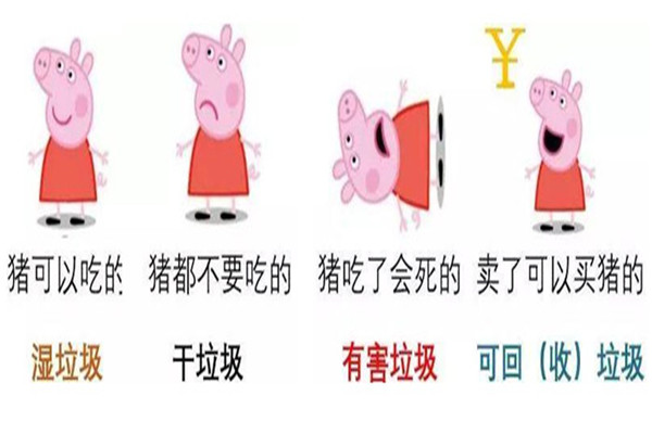猪能吃的垃圾分类 如何用猪区分垃圾（能吃的是湿垃圾）851 / 作者:UFO爱好者 / 帖子ID:87573