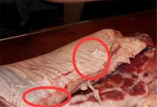 吃了母猪肉对人体有什么危害 有致病风险（营养价值低）52 / 作者:UFO爱好者 / 帖子ID:87570