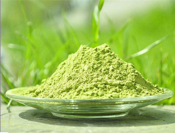 抹茶粉的坏处有哪些 抹茶粉吃了会影响身体健康吗355 / 作者:UFO爱好者 / 帖子ID:86879