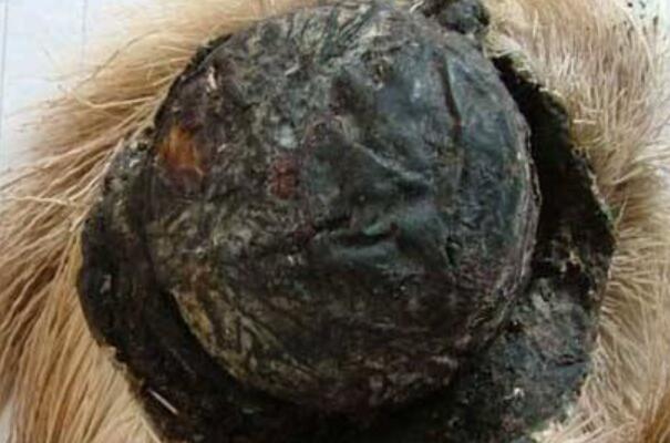 麝香对人体有害吗 一般无害但不能随便乱吃418 / 作者:UFO爱好者 / 帖子ID:86873
