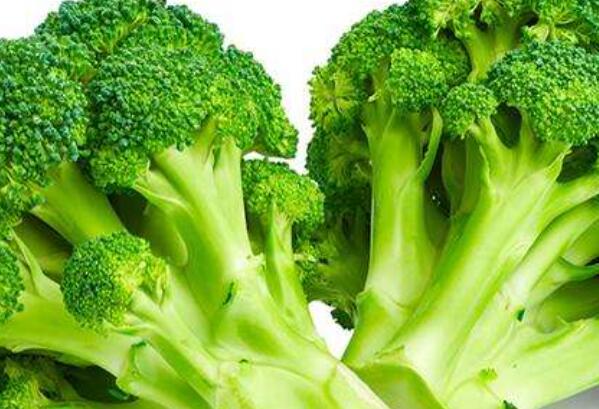 西兰花是发物吗 吃西兰花会影响伤口愈合吗671 / 作者:UFO爱好者 / 帖子ID:86642