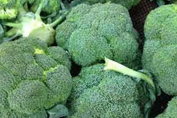 西兰花是发物吗 吃西兰花会影响伤口愈合吗135 / 作者:UFO爱好者 / 帖子ID:86642