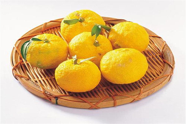 香橼怎么吃比较好 香橼可以直接吃吗（当饮料喝）238 / 作者:UFO爱好者 / 帖子ID:84151