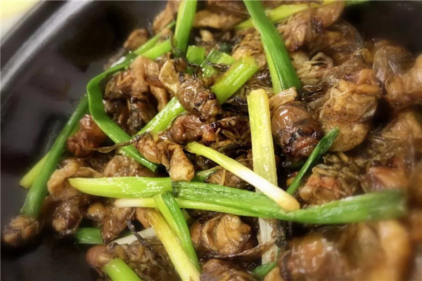 竹蝉能吃吗 竹蝉怎么吃比较好（油炸味道好）205 / 作者:UFO爱好者 / 帖子ID:84217