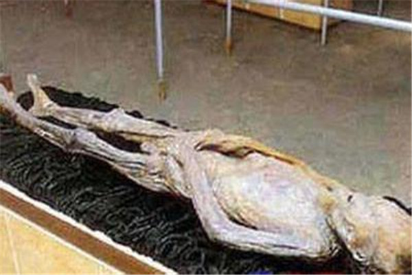关羽古尸出土时样子是什么样 光羽古墓中出土了什么721 / 作者:UFO爱好者 / 帖子ID:83959