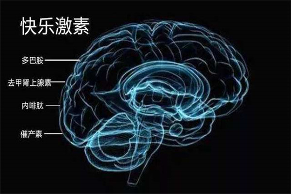 含多巴胺最多的食物是什么 吃什么可以增加多巴胺163 / 作者:UFO爱好者 / 帖子ID:83987