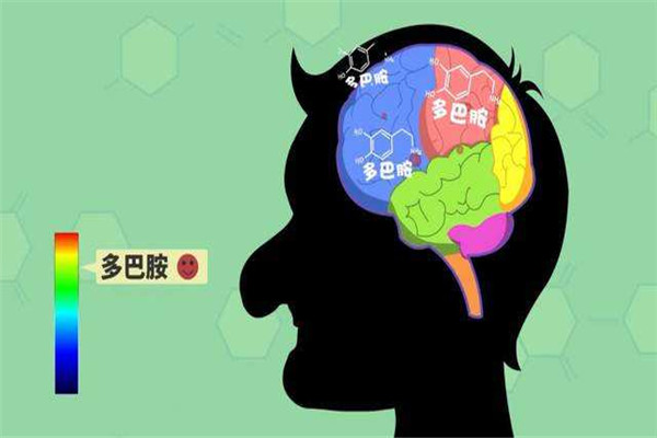 含多巴胺最多的食物是什么 吃什么可以增加多巴胺550 / 作者:UFO爱好者 / 帖子ID:83987