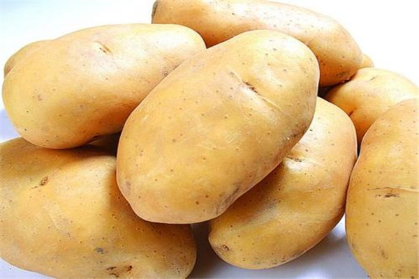土豆玉米可以一起吃吗 土豆可以和西红柿一起吃吗147 / 作者:UFO爱好者 / 帖子ID:83639