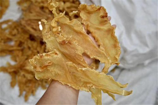鳕鱼胶为什么那么便宜 平时如何更好挑选鳕鱼胶934 / 作者:UFO爱好者 / 帖子ID:83727