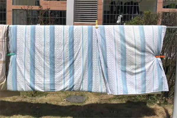 棉被里的臭虫怎么处理 清洗棉被的正常方法376 / 作者:UFO爱好者 / 帖子ID:83798