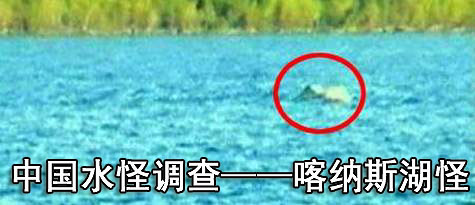 喀纳斯湖水怪之谜437 / 作者:UFO爱好者 / 帖子ID:68257