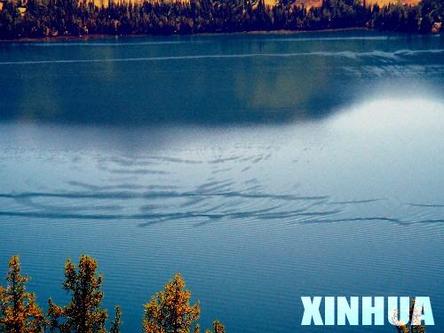 喀纳斯湖水怪之谜901 / 作者:UFO爱好者 / 帖子ID:68257