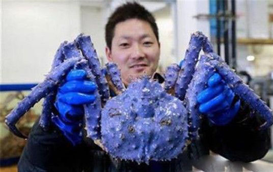 世上真有独眼鲨鱼种群？“独眼”属先天性疾病765 / 作者:UFO爱好者 / 帖子ID:85252