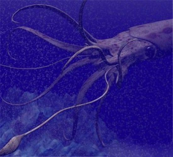 “挪威海怪”深海巨型怪鱼！竟能长到20米558 / 作者:UFO爱好者 / 帖子ID:85397