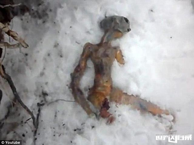 俄罗斯西伯利亚的伊尔库次克雪地发现外星人尸体582 / 作者:UFO爱好者 / 帖子ID:69502