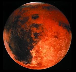 霍金设想5种外星生物形态 吃草的嘴像吸尘器？613 / 作者:UFO爱好者 / 帖子ID:90496