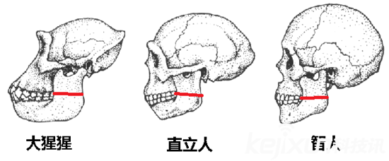 为何不可能是外星人造人37 / 作者:UFO爱好者 / 帖子ID:79213