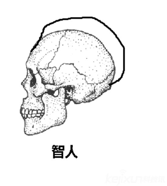 为何不可能是外星人造人16 / 作者:UFO爱好者 / 帖子ID:79213